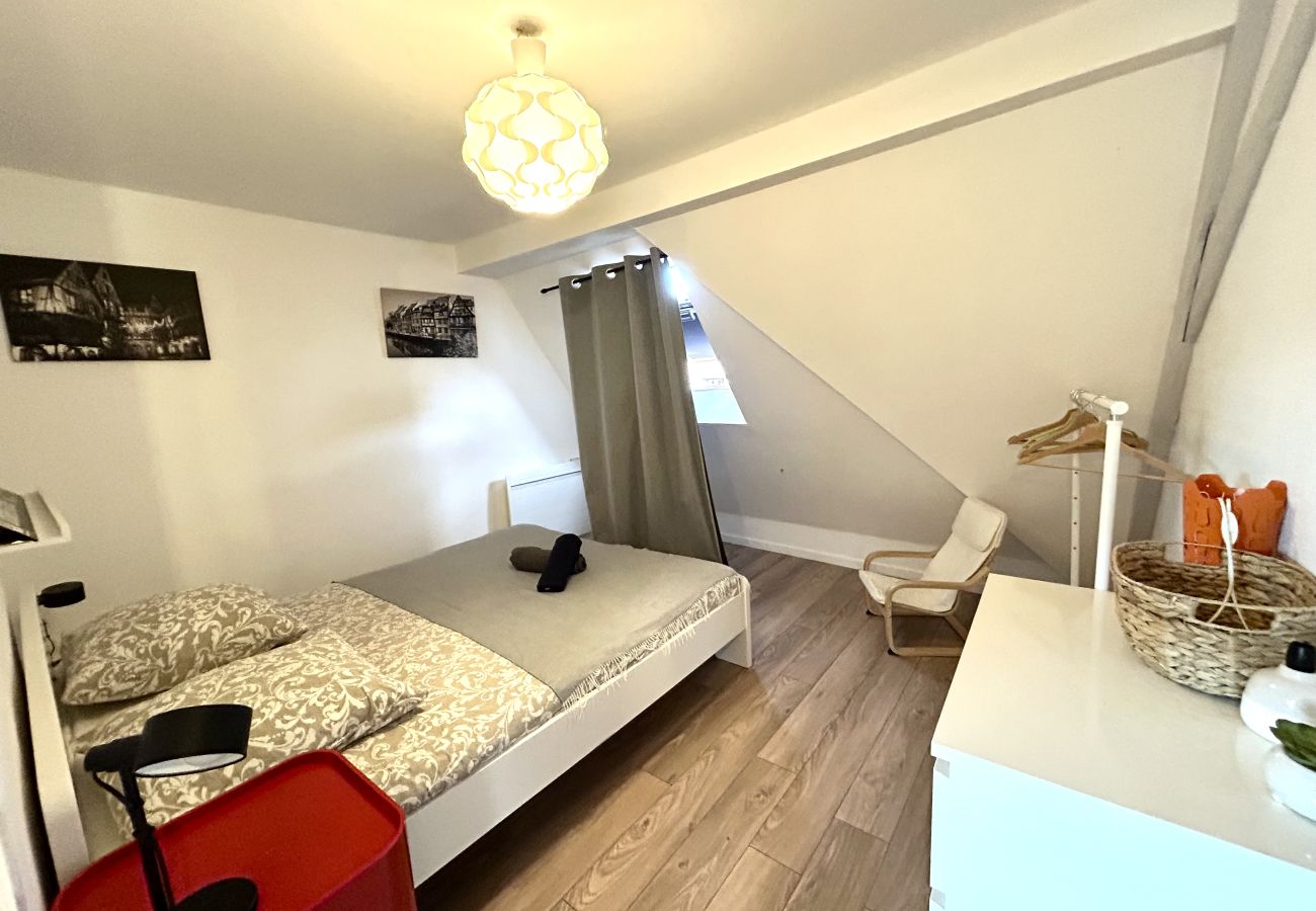 Apartment in Colmar - BELLE VUE Apartment in Colmar - BELLE VUE