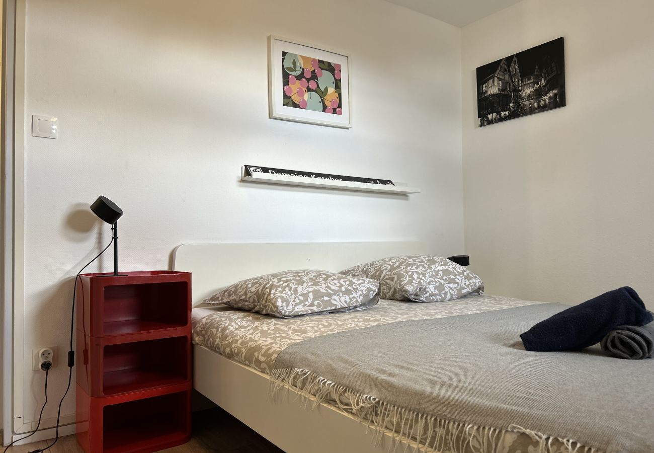 Apartment in Colmar - BELLE VUE Apartment in Colmar - BELLE VUE