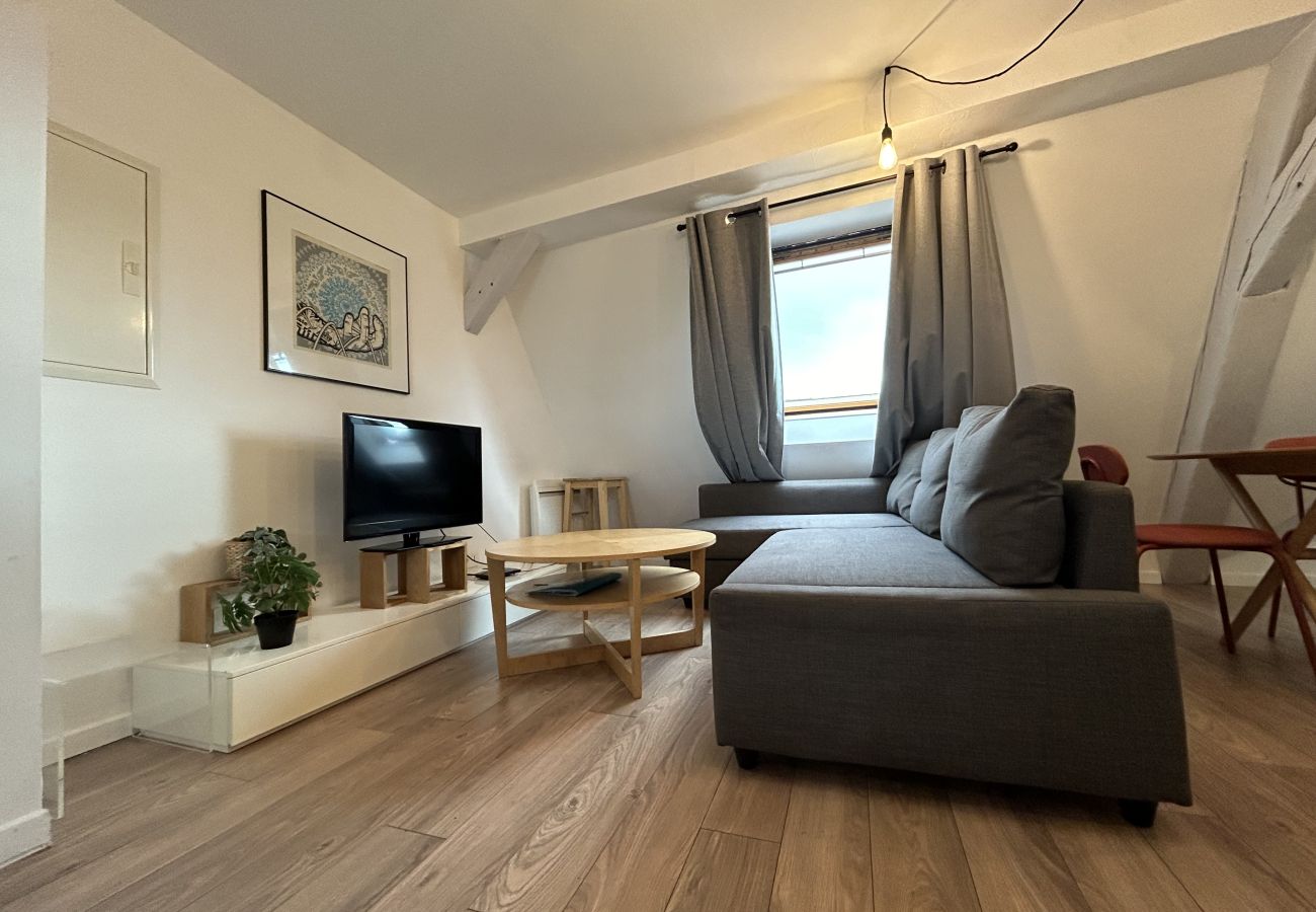 Apartment in Colmar - BELLE VUE Apartment in Colmar - BELLE VUE
