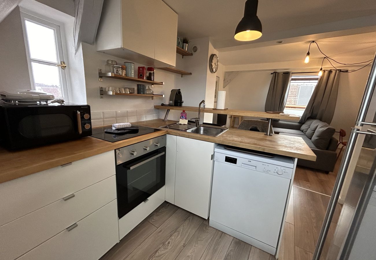 Apartment in Colmar - BELLE VUE Apartment in Colmar - BELLE VUE