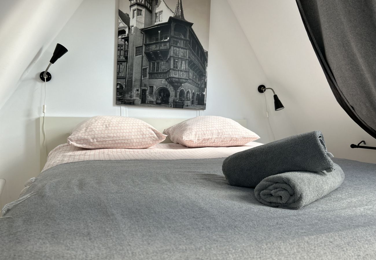 Apartment in Colmar - BELLE VUE Apartment in Colmar - BELLE VUE