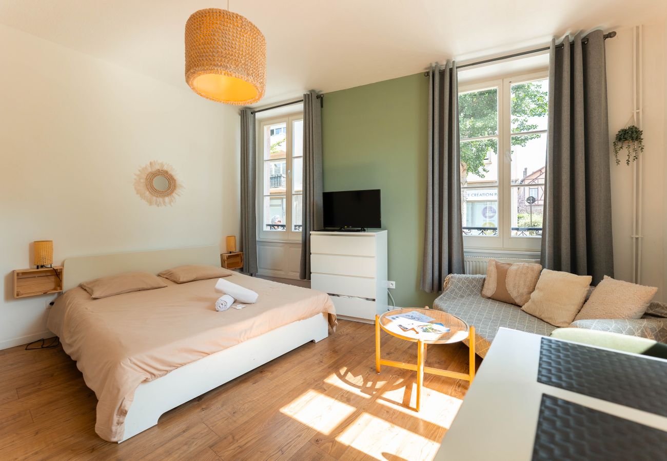 Studio in Colmar - BELLE ALSACE 3