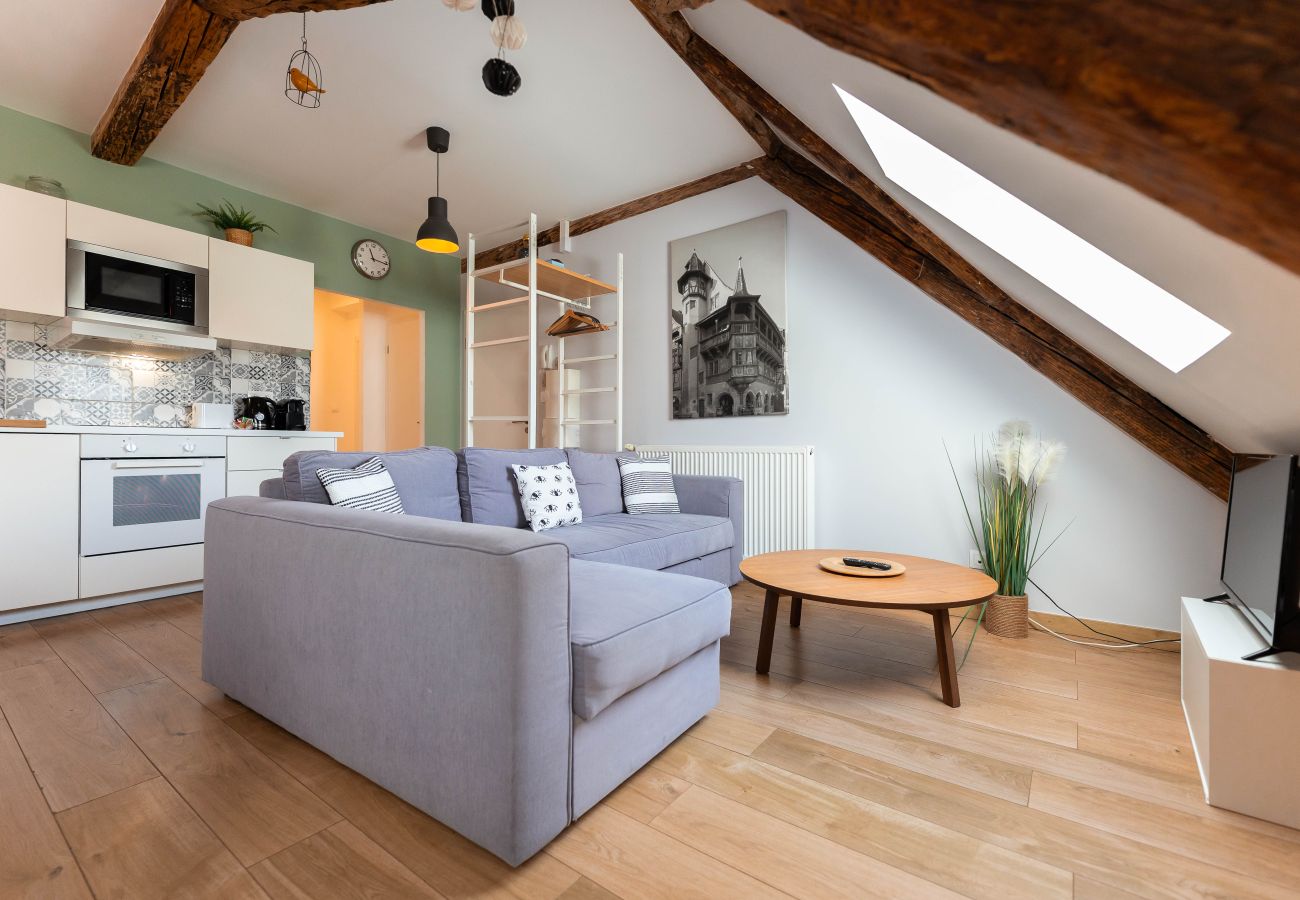 Apartment in Colmar - BELLE ALSACE 5