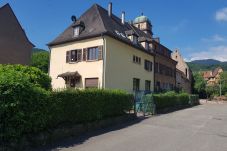 Apartment in Kaysersberg - COTE VIGNOBLE