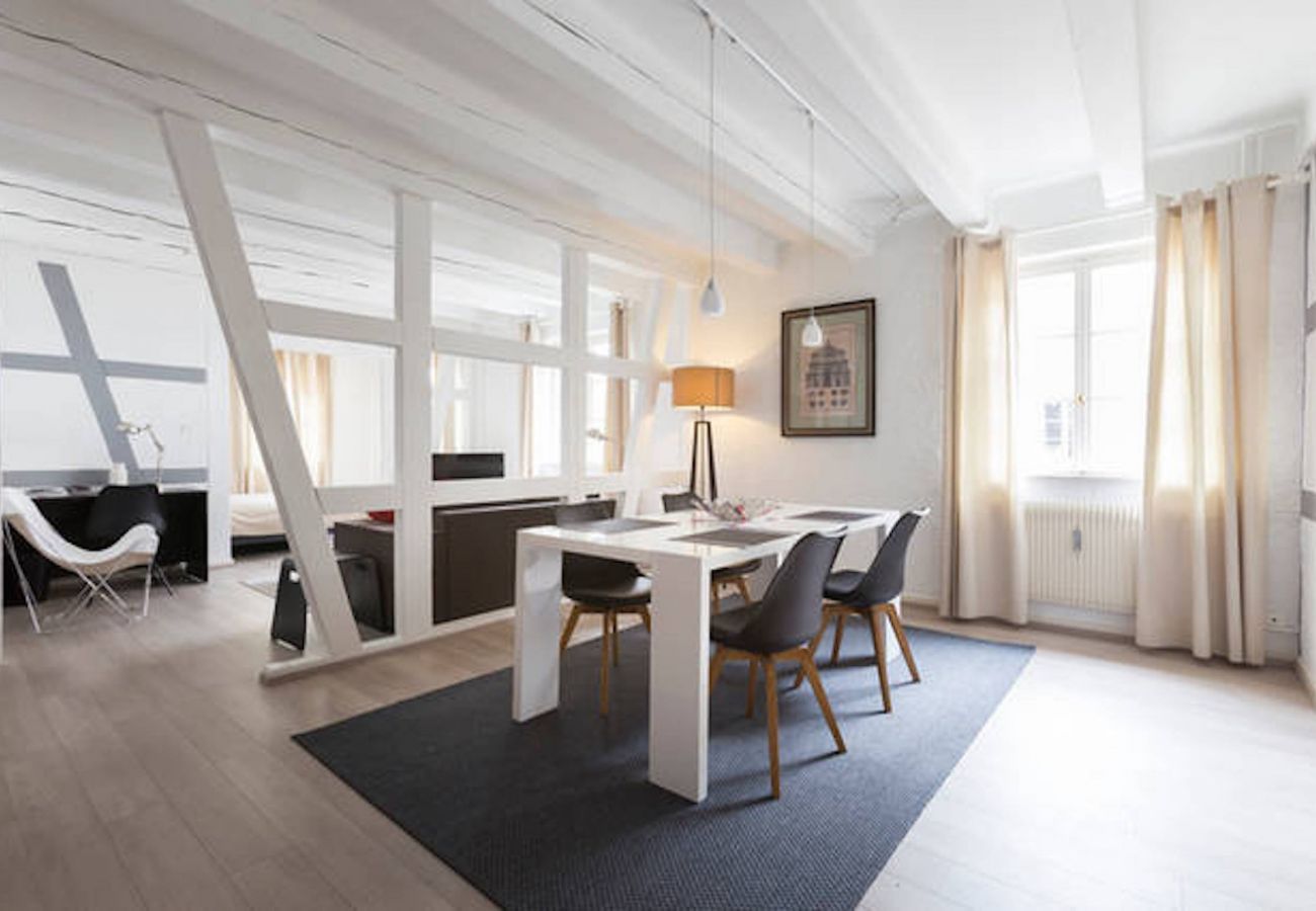 Apartment in Colmar - MARIE