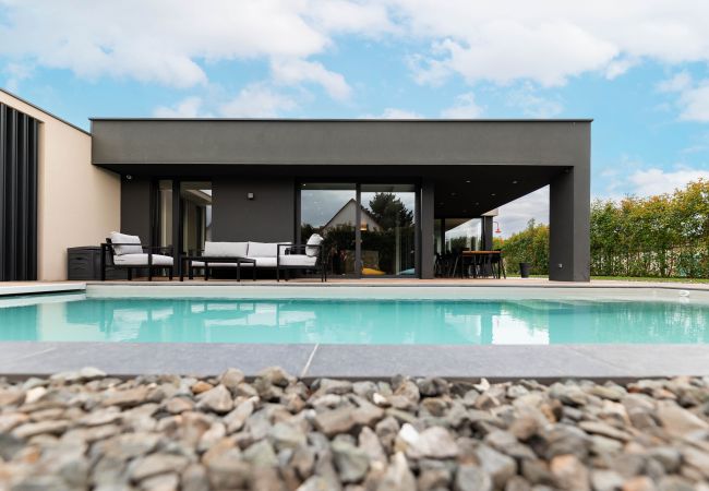 Villa/Dettached house in Sainte-Croix-en-Plaine - La Sublime villa avec piscine