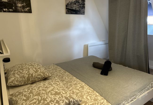 Appartement à Colmar - BELLE VUE Appartement à Colmar - BELLE VUE