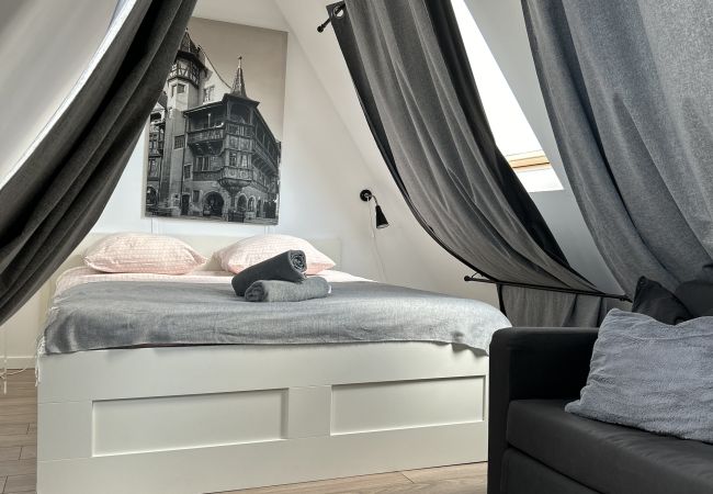 Appartement à Colmar - BELLE VUE Appartement à Colmar - BELLE VUE