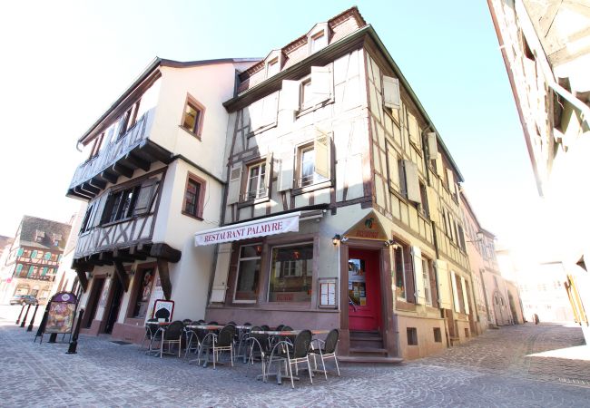 Appartement à Colmar - PETITE VENISE 1 Appartement à Colmar - PETITE VENISE 1