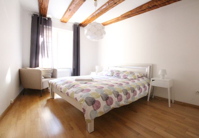 Appartement à Colmar - PETITE VENISE 1 Appartement à Colmar - PETITE VENISE 1
