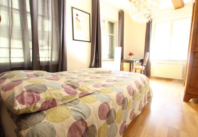 Appartement à Colmar - PETITE VENISE 1 Appartement à Colmar - PETITE VENISE 1