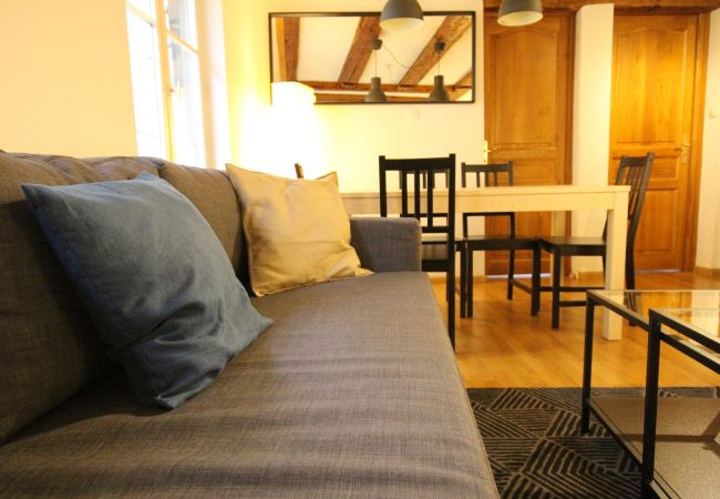 Appartement à Colmar - PETITE VENISE 2 Appartement à Colmar - PETITE VENISE 2
