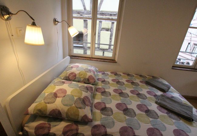 Appartement à Colmar - PETITE VENISE 2 Appartement à Colmar - PETITE VENISE 2