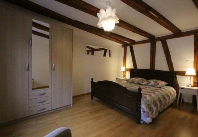 Appartement à Colmar - PETITE VENISE 2 Appartement à Colmar - PETITE VENISE 2
