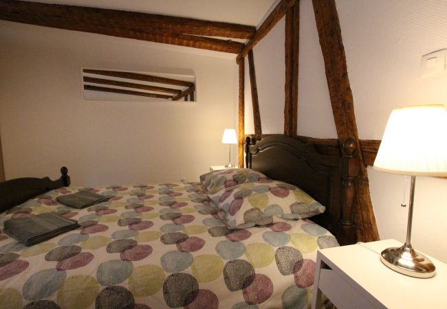 Appartement à Colmar - PETITE VENISE 2 Appartement à Colmar - PETITE VENISE 2