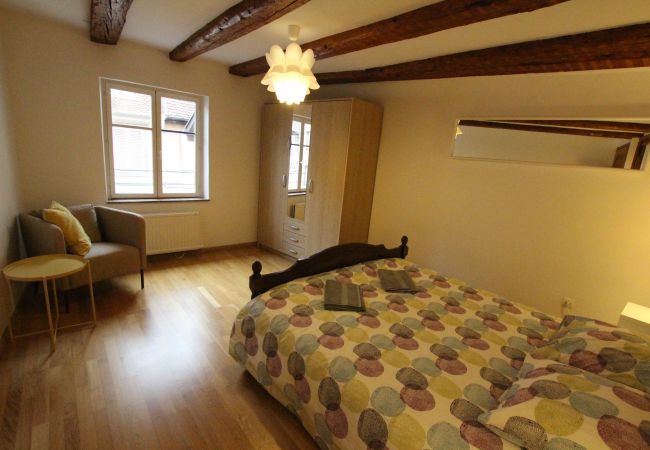 Appartement à Colmar - PETITE VENISE 2 Appartement à Colmar - PETITE VENISE 2