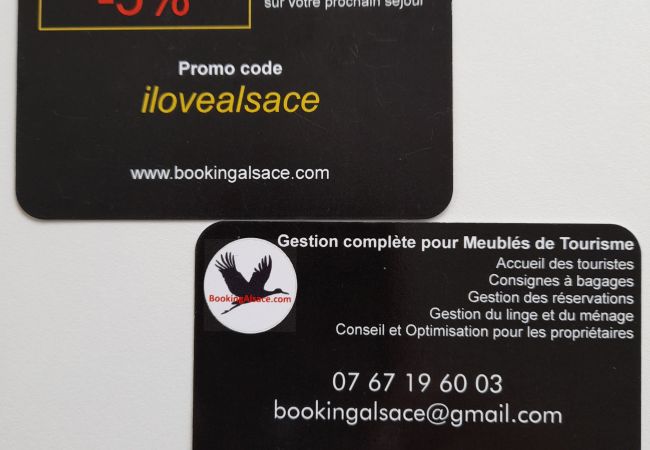 Studio à Colmar - BELLE ALSACE 1 Studio à Colmar - BELLE ALSACE 1