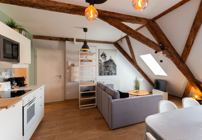 Appartement à Colmar - BELLE ALSACE 5 Appartement à Colmar - BELLE ALSACE 5