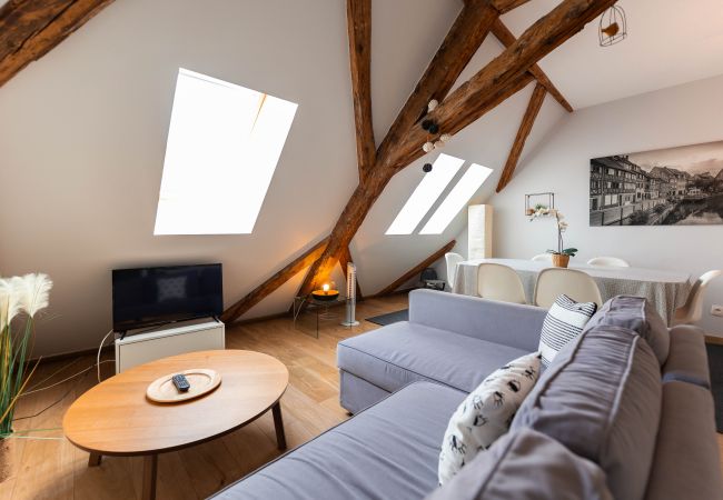 Appartement à Colmar - BELLE ALSACE 5 Appartement à Colmar - BELLE ALSACE 5