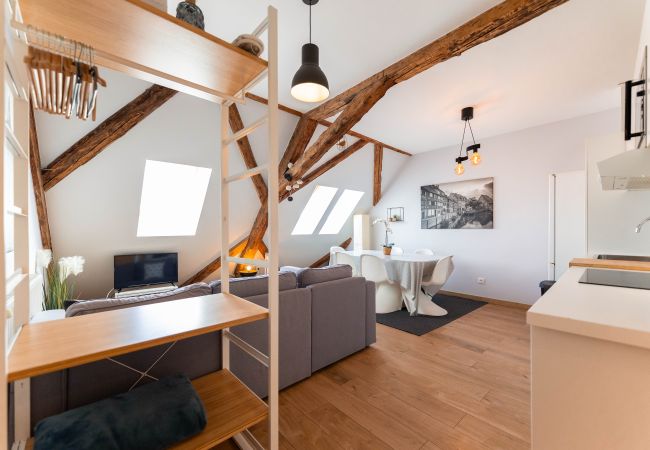 Appartement à Colmar - BELLE ALSACE 5 Appartement à Colmar - BELLE ALSACE 5