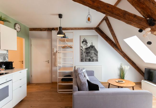 Appartement à Colmar - BELLE ALSACE 5 Appartement à Colmar - BELLE ALSACE 5