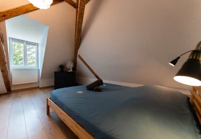 Appartement à Colmar - BELLE ALSACE 5 Appartement à Colmar - BELLE ALSACE 5