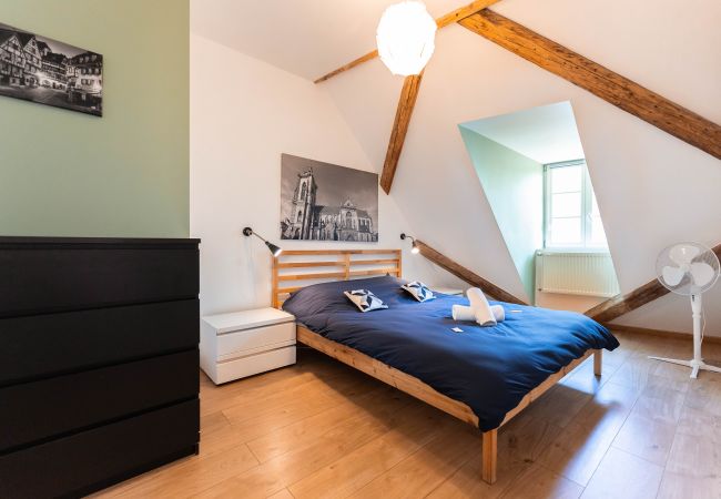 Appartement à Colmar - BELLE ALSACE 5 Appartement à Colmar - BELLE ALSACE 5