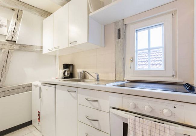 Appartement à Colmar - GITE D'INES Appartement à Colmar - GITE D'INES