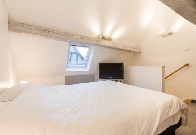 Appartement à Colmar - GITE D'INES Appartement à Colmar - GITE D'INES