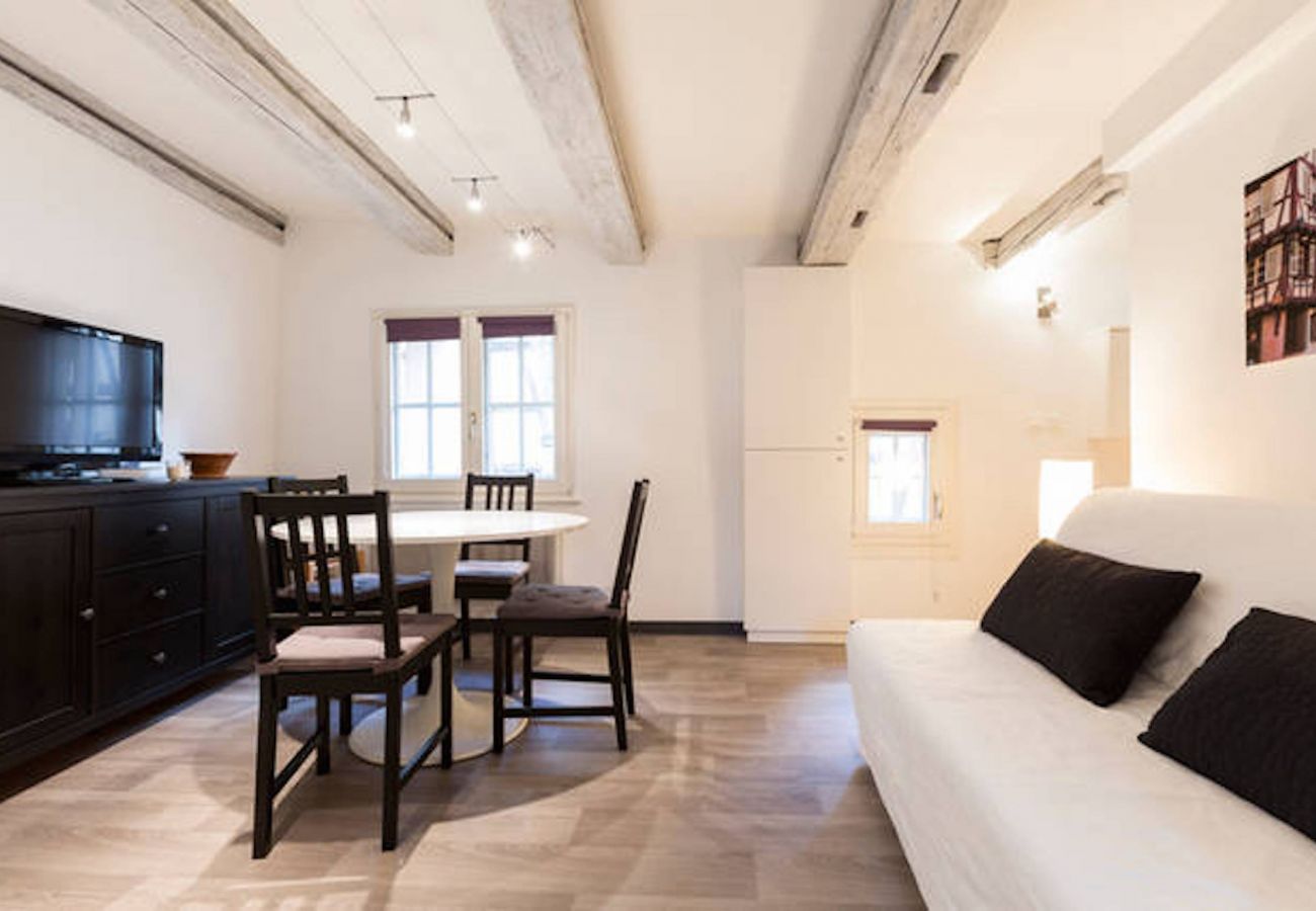 Appartement à Colmar - GITE D'INES Appartement à Colmar - GITE D'INES