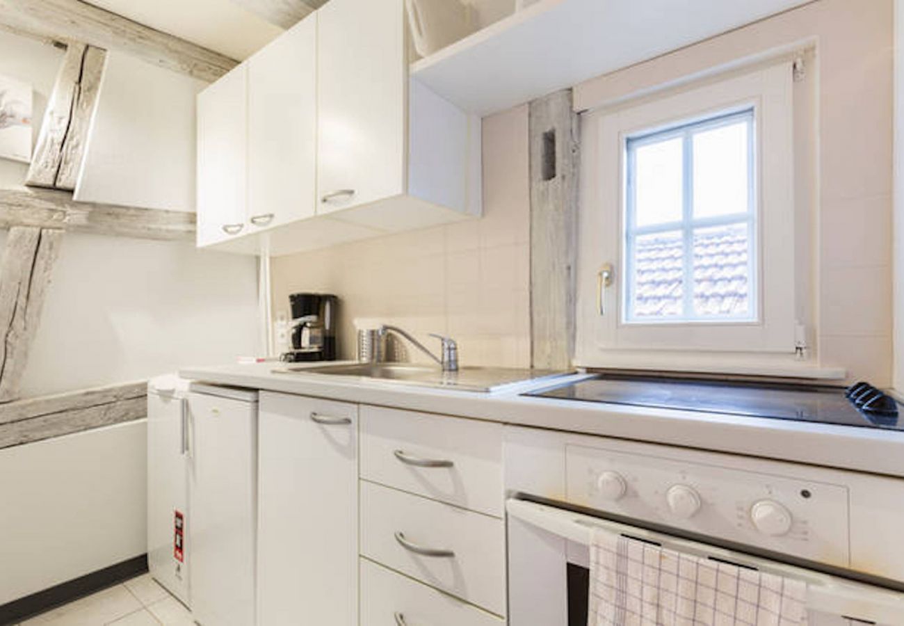 Appartement à Colmar - GITE D'INES Appartement à Colmar - GITE D'INES