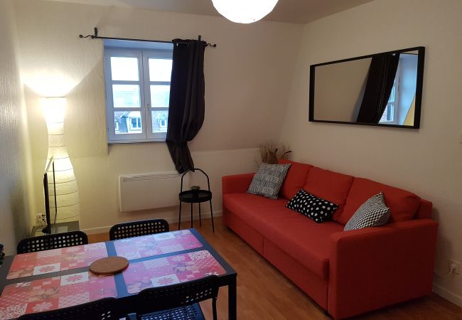 Appartement à Colmar - COTE GRAND RUE Appartement à Colmar - COTE GRAND RUE