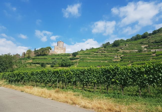 Appartement à Kaysersberg - COTE VIGNOBLE Appartement à Kaysersberg - COTE VIGNOBLE