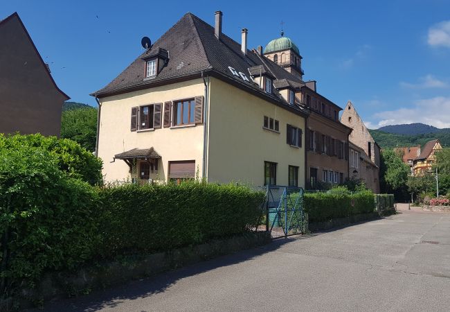Appartement à Kaysersberg - COTE VIGNOBLE Appartement à Kaysersberg - COTE VIGNOBLE
