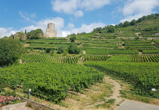 Appartement à Kaysersberg - COTE VIGNOBLE Appartement à Kaysersberg - COTE VIGNOBLE