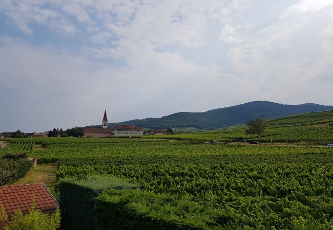 Appartement à Kaysersberg - COTE VIGNOBLE Appartement à Kaysersberg - COTE VIGNOBLE