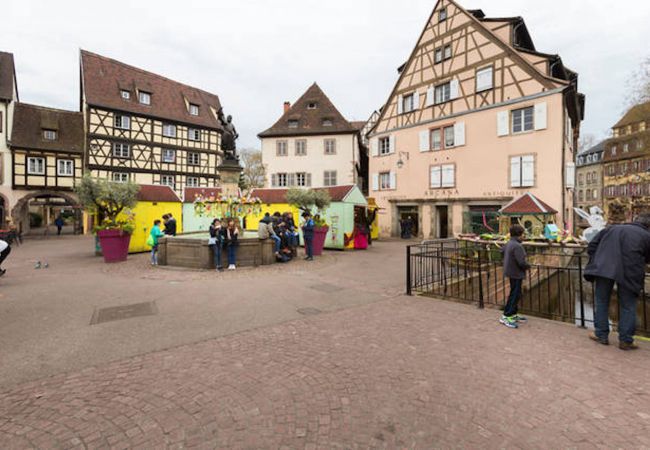 Appartement à Colmar - MARIE Appartement à Colmar - MARIE