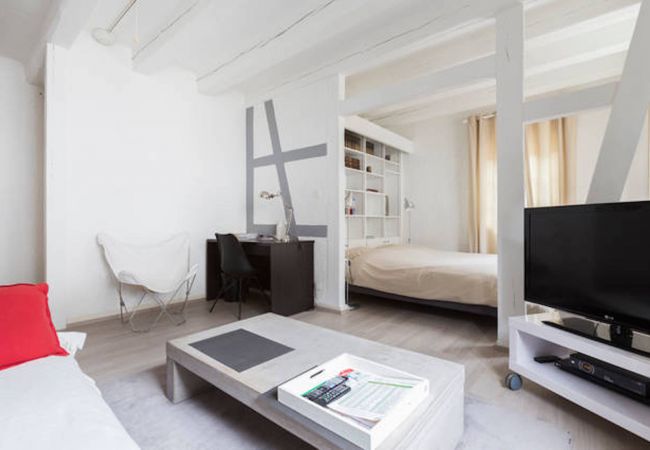 Appartement à Colmar - MARIE Appartement à Colmar - MARIE