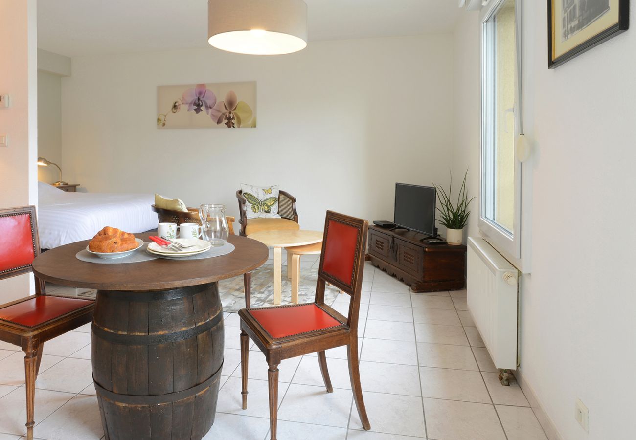 Studio à Colmar - TA - LE ROESSELMANN 1
